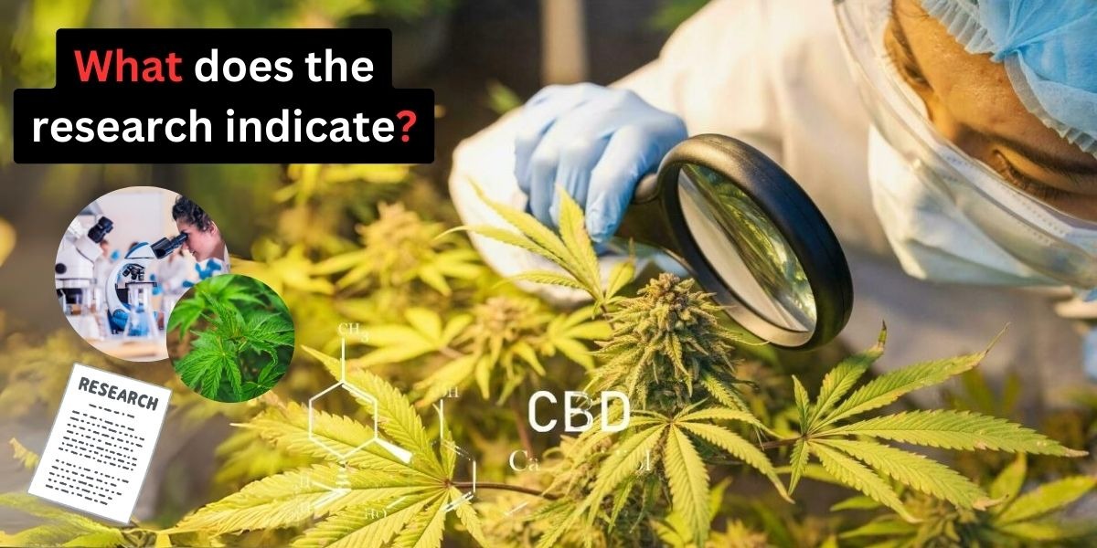 cbd oil India